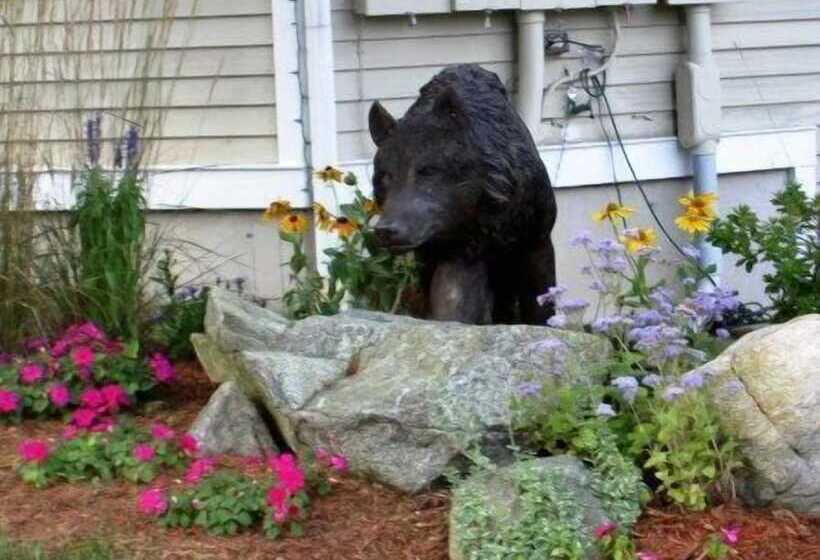 호텔 Cedar Park Inn