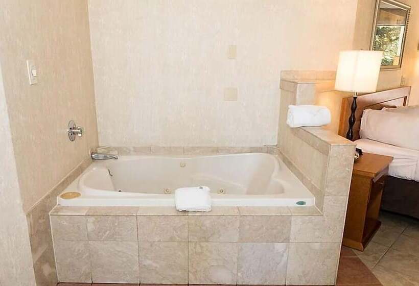 호텔 Cedar Park Inn