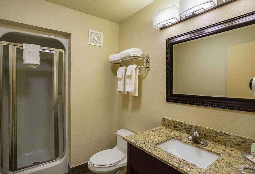 ホテル Clarion Inn & Suites