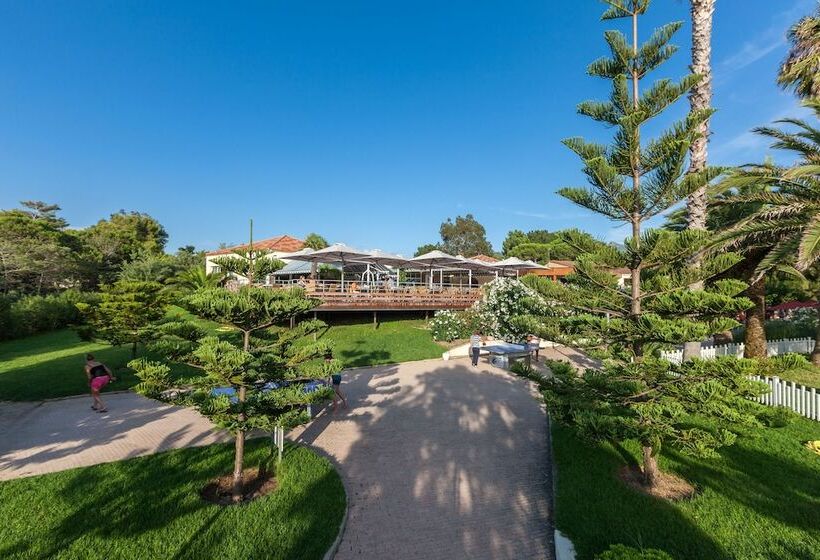 Отель Club Marina Viva