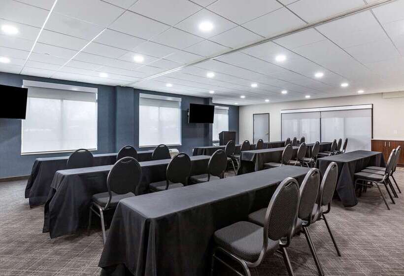 בית מלון כפרי Comfort Inn & Suites Grand Blanc Flint