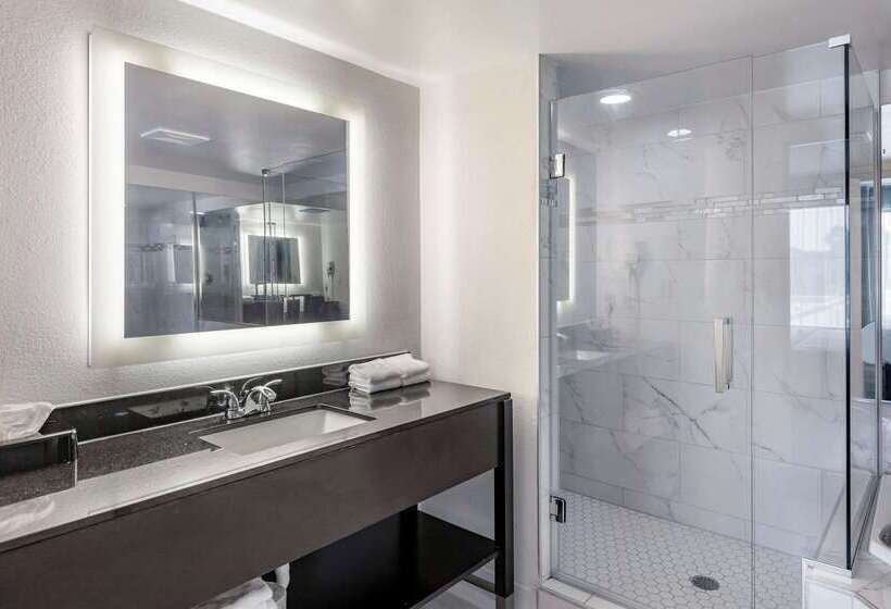 هتل Comfort Inn & Suites Grand Blanc Flint