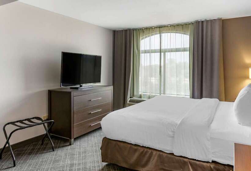 בית מלון כפרי Comfort Inn & Suites Grand Blanc Flint