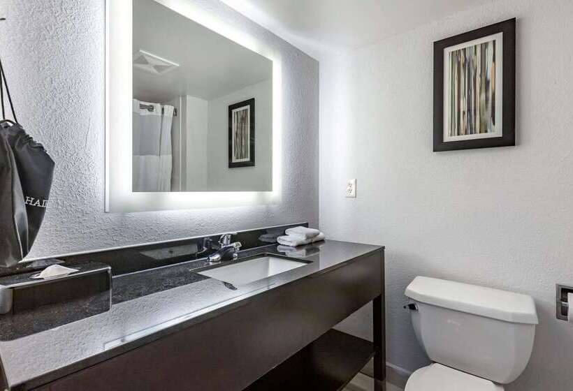 בית מלון כפרי Comfort Inn & Suites Grand Blanc Flint