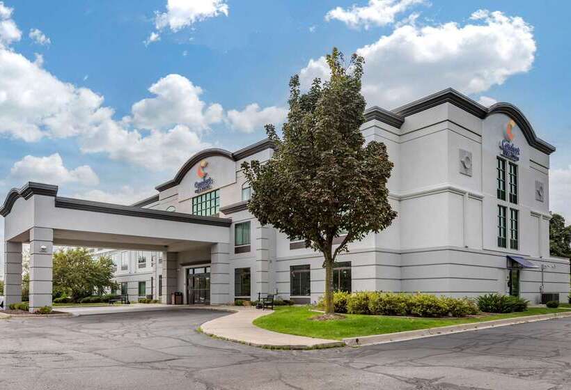 בית מלון כפרי Comfort Inn & Suites Grand Blanc Flint