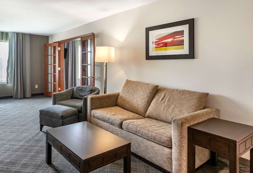 בית מלון כפרי Comfort Inn & Suites Grand Blanc Flint