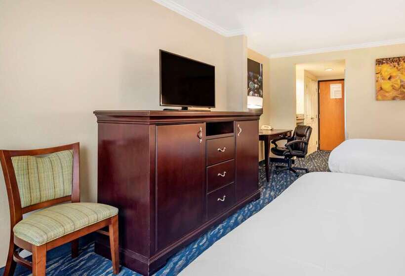 هتل Comfort Inn & Suites New Orleans Airport North