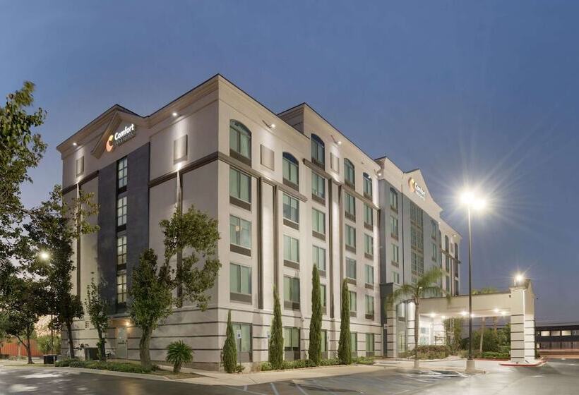 هتل Comfort Inn & Suites New Orleans Airport North