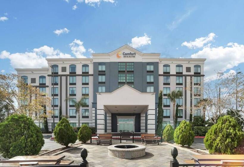 هتل Comfort Inn & Suites New Orleans Airport North