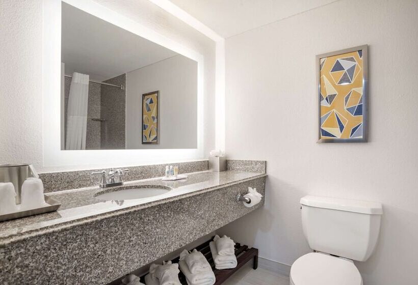 هتل Comfort Inn & Suites New Orleans Airport North