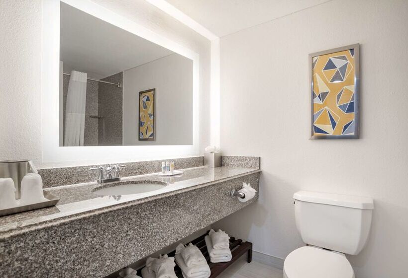 هتل Comfort Inn & Suites New Orleans Airport North