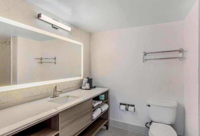 فندق Comfort Inn & Suites Voorhees Mt Laurel