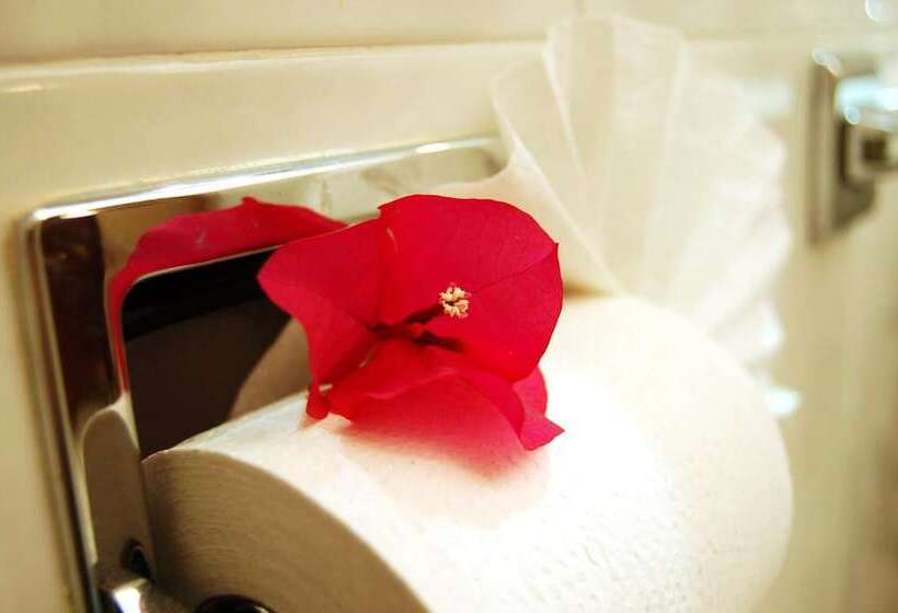 Отель Del Principado