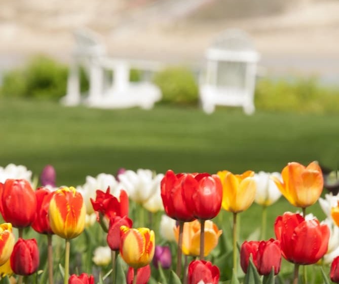 Отель The Dunes On The Waterfront