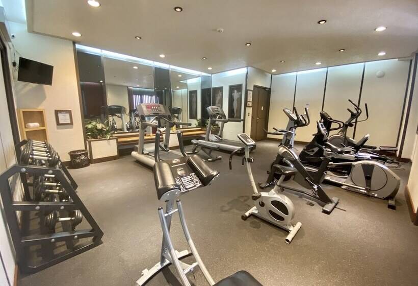 هتل Exe Alameda Reforma