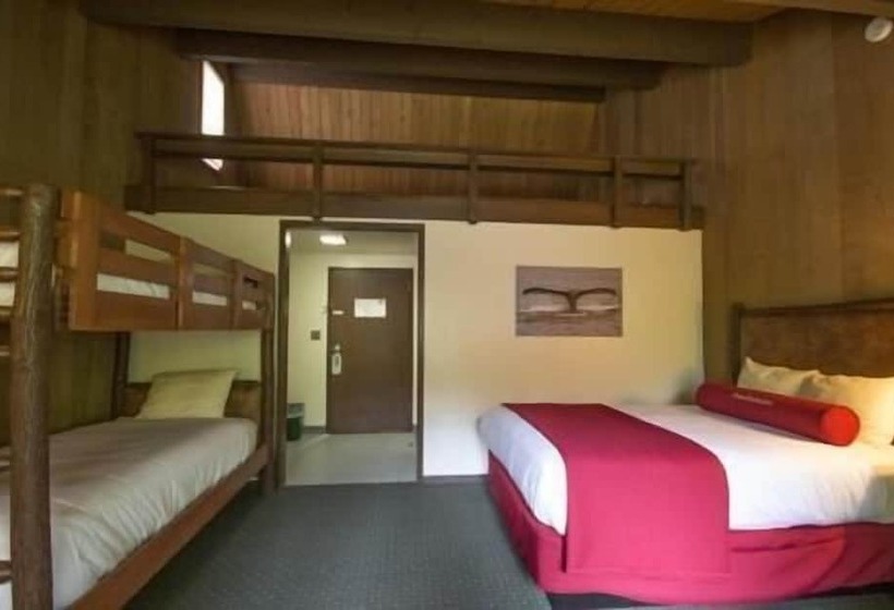 בית מלון כפרי Glacier Bay Lodge