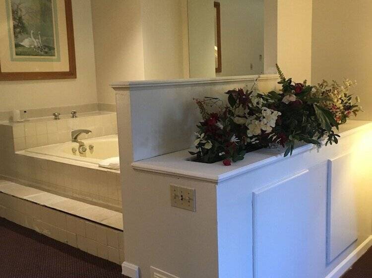 هتل Gold Star Inn & Suites