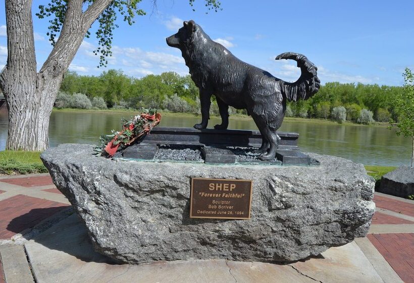 فندق Grand Union