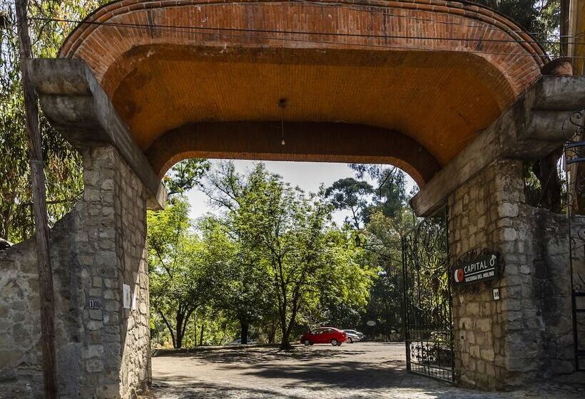 هتل Hacienda Del Molino