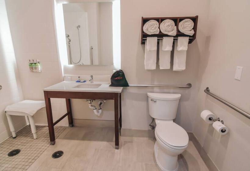 فندق Holiday Inn Express & Suites   Indianapolis Northwest, An Ihg