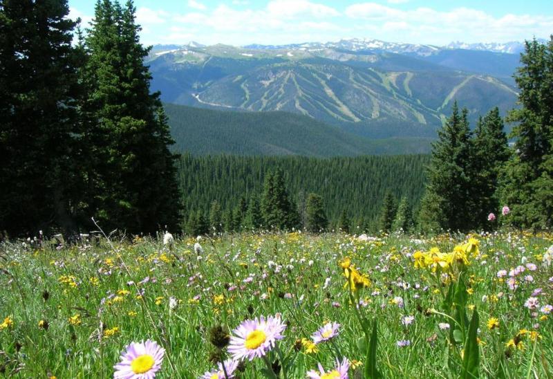 Holiday Inn Express Hotel & Suites Fraser Winter Park Area, An Ihg