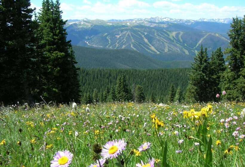 Holiday Inn Express Hotel & Suites Fraser Winter Park Area, An Ihg