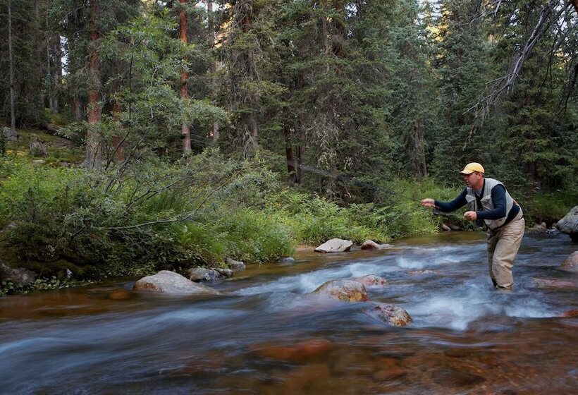 Holiday Inn Express Hotel & Suites Fraser Winter Park Area, An Ihg