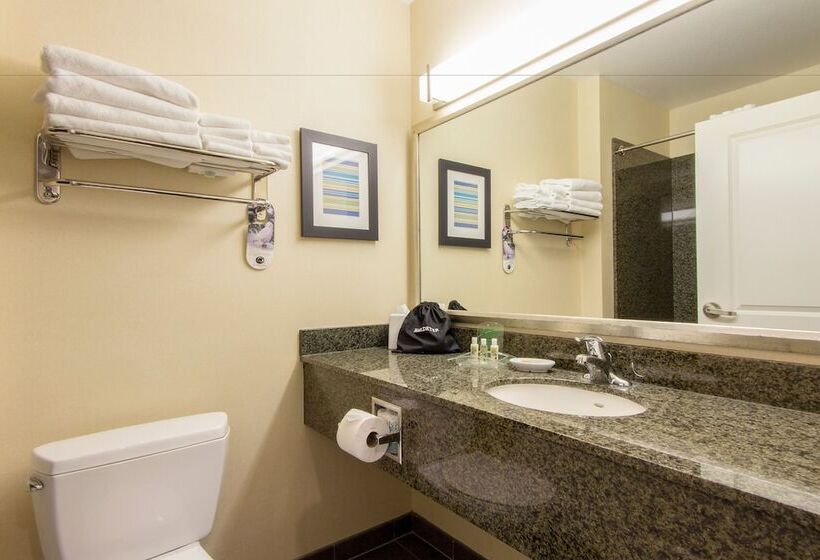 호텔 Holiday Inn Scottsdale North Airpark, An Ihg