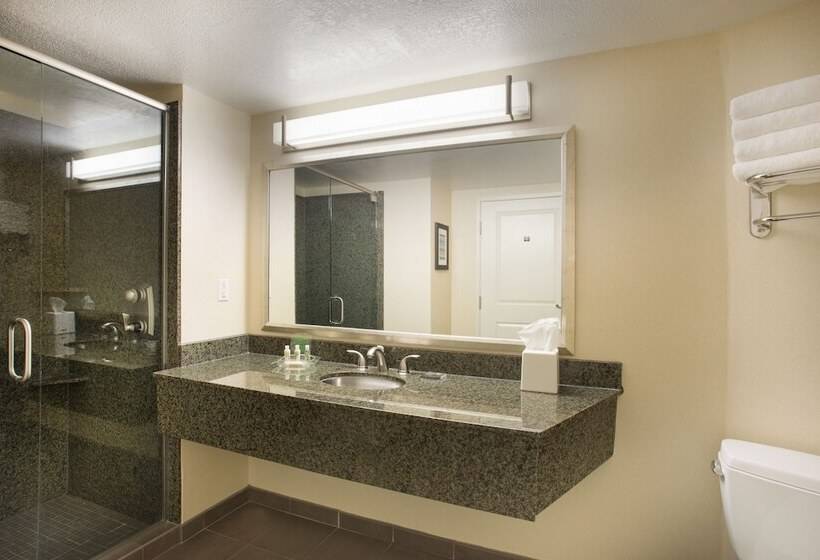 ホテル Holiday Inn Scottsdale North Airpark, An Ihg