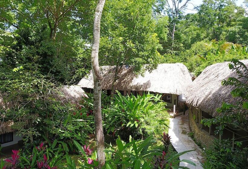 בית מלון כפרי La Aldea Del Halach Huinic