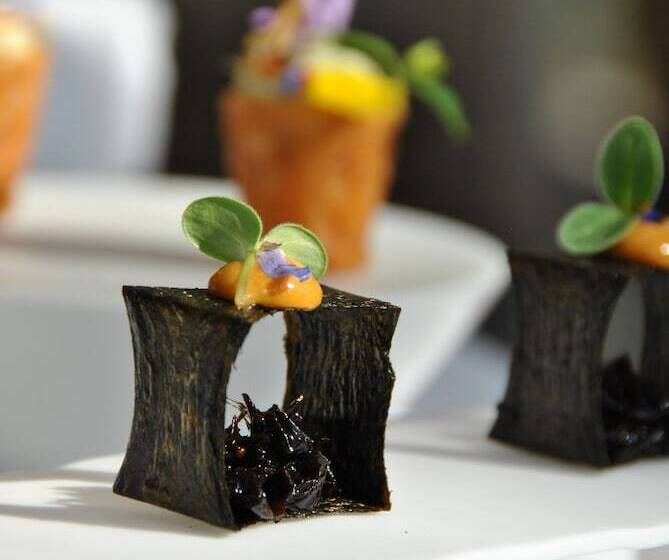 ホテル Domaine Du Mas De Pierre