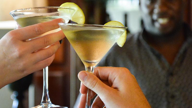 酒店 Lion Sands  Tinga Lodge