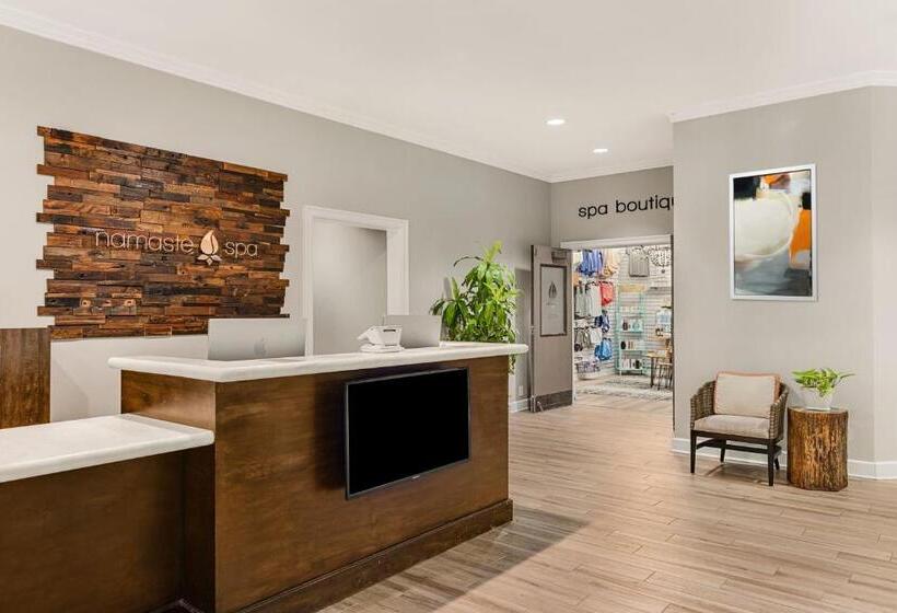 فندق Marriott's Barony Beach Club