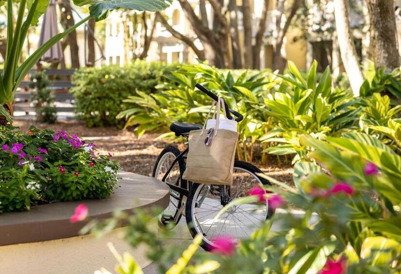 فندق Marriott's Barony Beach Club