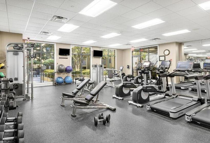 فندق Marriott's Barony Beach Club