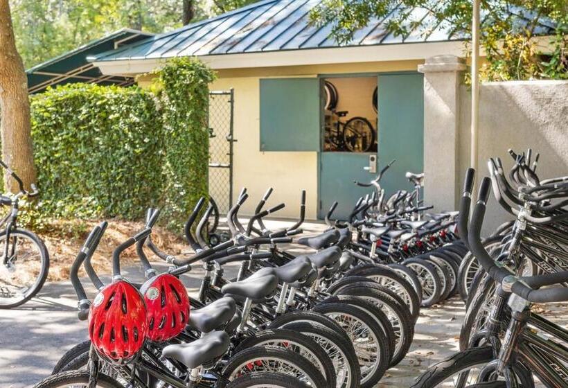 فندق Marriott's Barony Beach Club