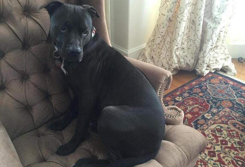 فندق Munroe Inn Boutique