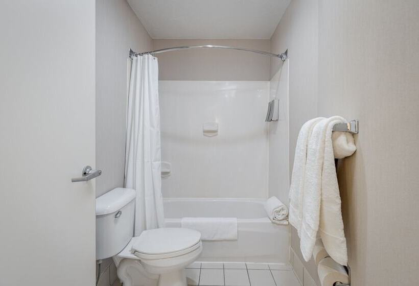 בית מלון כפרי Mysuites Lawton