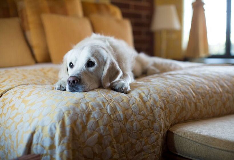 Отель Napa River Inn