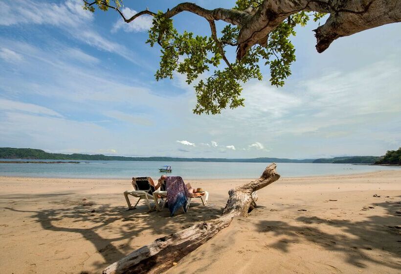 فندق Occidental Papagayo  Adults Onlyall Inclusive