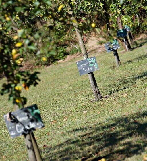 בית מלון כפרי Relais De La Poste