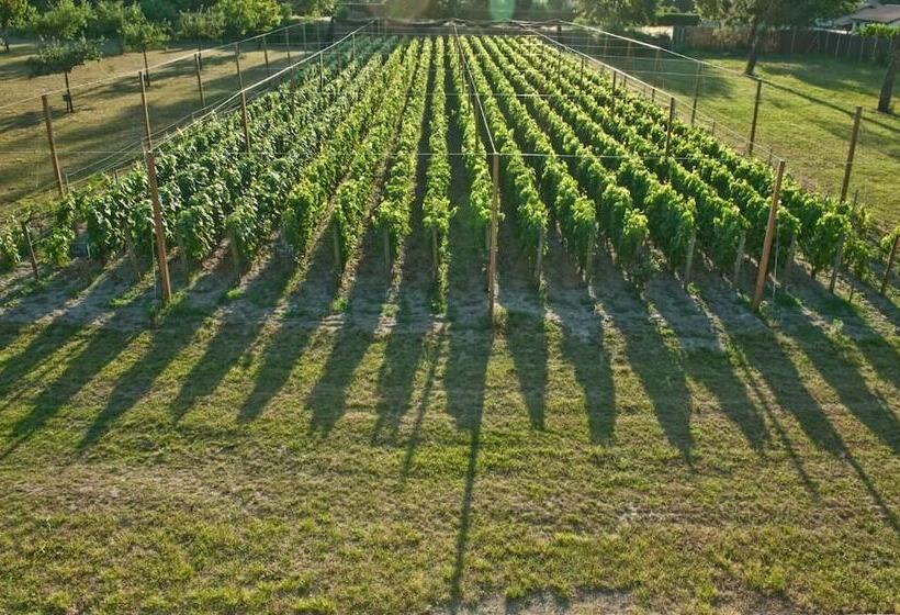 בית מלון כפרי Relais De La Poste