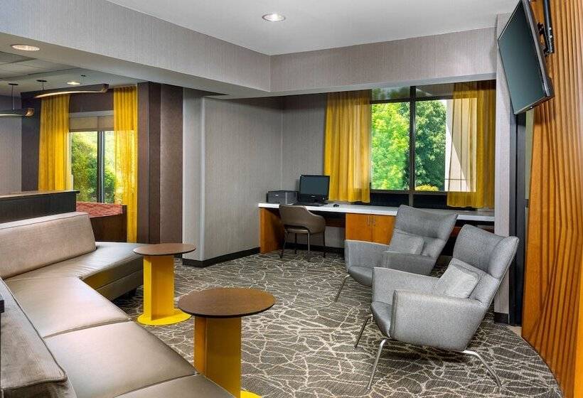 호텔 Springhill Suites Asheville