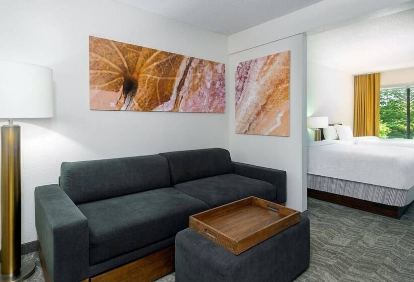 호텔 Springhill Suites Asheville
