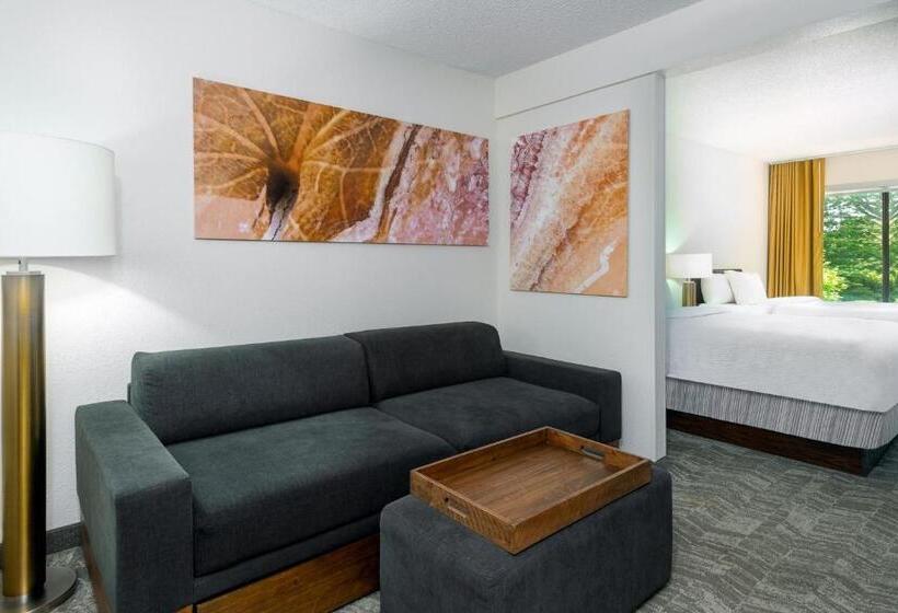 호텔 Springhill Suites Asheville