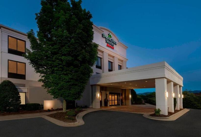 호텔 Springhill Suites Asheville