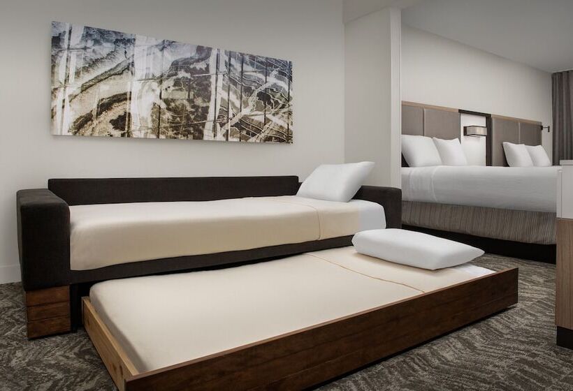 فندق Springhill Suites By Marriott Atlanta Buford/mall Of Georgia