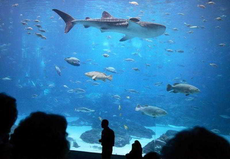 فندق Springhill Suites By Marriott Atlanta Buford/mall Of Georgia