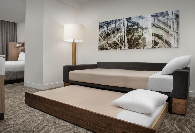 فندق Springhill Suites By Marriott Atlanta Buford/mall Of Georgia