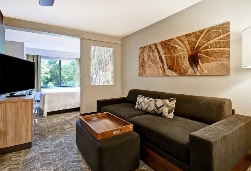 בית מלון כפרי Springhill Suites By Marriott Atlanta Kennesaw